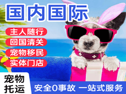 博鳌空运地址国际宠物托运 【国